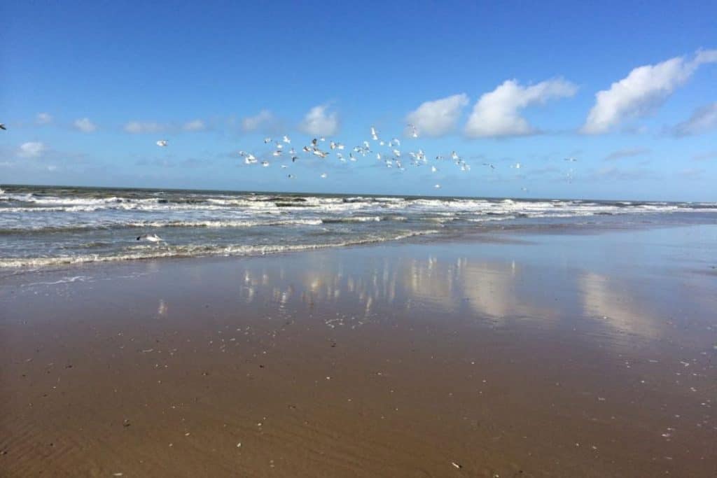 A sunny beach in The Netherlands