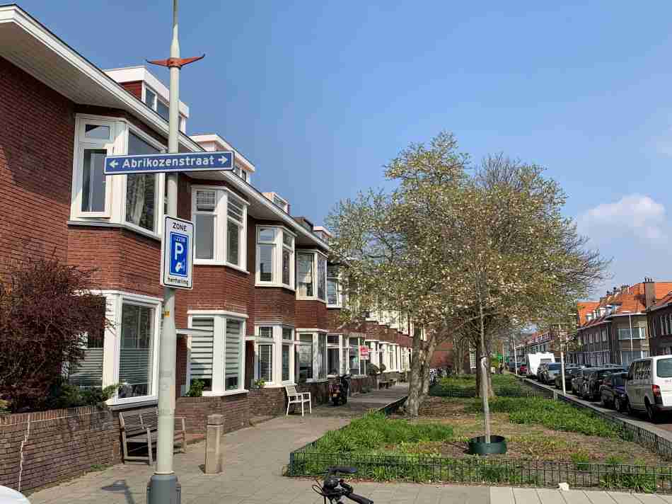 A quaint street scene in Vruchtenbuurt, an affordable neighborhood in The Hague, with a line of traditional Dutch homes, a pedestrian pathway, and a young tree in the center island under a clear blue sky.