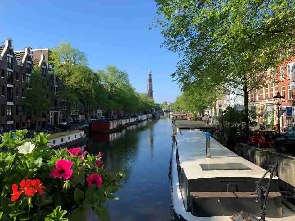 Scenic view along the Prinsengracht in Amsterdam with the Westerkerk tower rising in the background, houseboats moored along tree-lined banks, and vibrant flowers in the foreground, reflecting the city's picturesque charm.