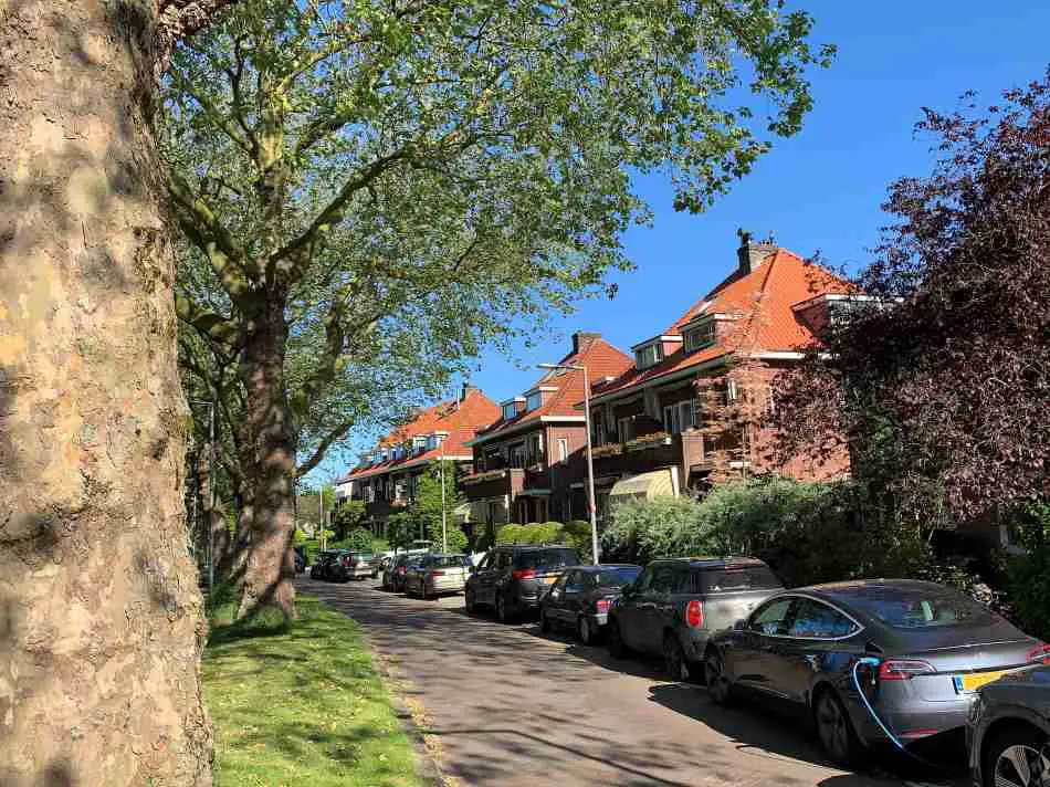 A sunny day in Hilligersberg, one of the best neighborhoods in Rotterdam, showcasing a tree-lined street with parked cars and traditional Dutch houses with gabled roofs in the background.