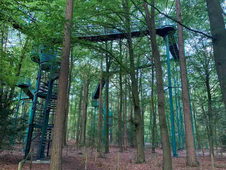 The Boomkroonpad near Hof van Saksen, an elevated walkway meandering through the forest canopy, offers visitors a unique treetop walking experience amidst lush greenery