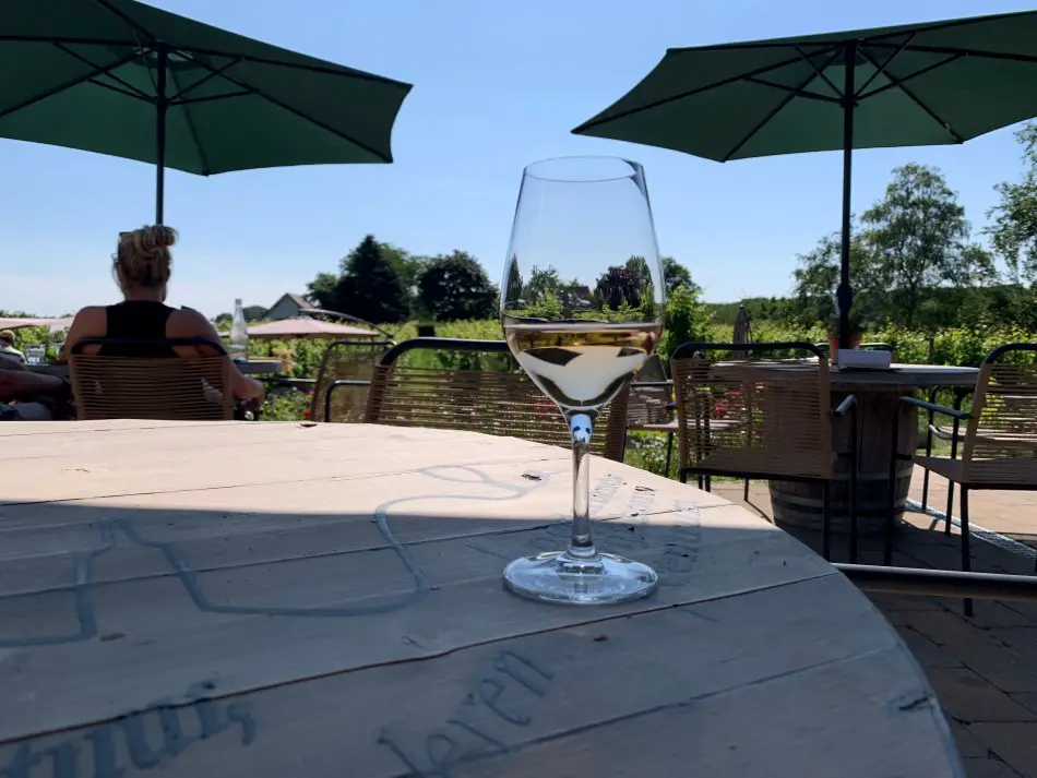 A terrace next to a vineyard in Groesbeek (The Netherlands)