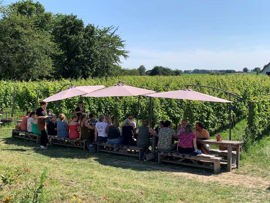 Dutch wine production and tasting on a terrace in a vineyard (Colonjes) in Groesbeek in The Netherlands